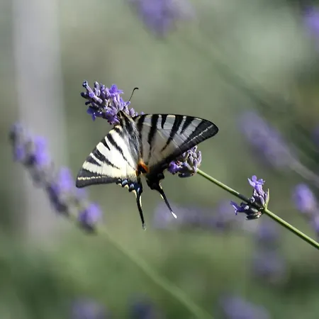 Casa Loretta, Your Luxurious Getaway With Stunning Views * Nievole